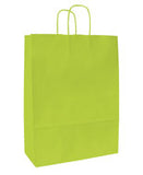 shopper manico ritorto vari formati e colori con stampa a inchiostro